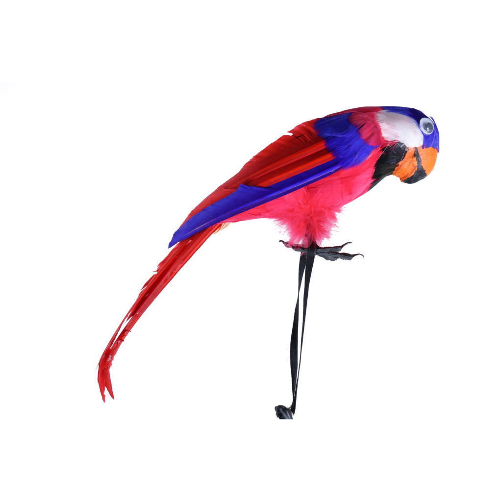 Pirate Parrot Shoulder