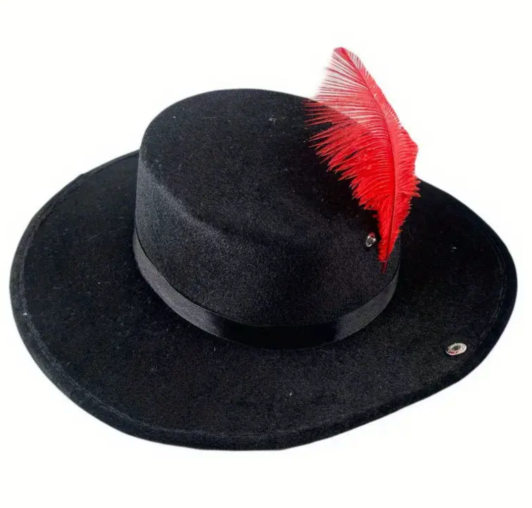 Round Brim Hat with Red feather