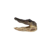 SMALL Gator Head - 2 sizes - 5" to 7" - 5"-6"